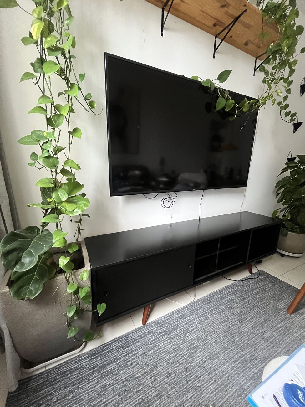 Rack instalado na sala, com a TV acima e plantas ao redor.